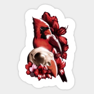 Northern Cardinal - Cardinalis Vanitas Sticker